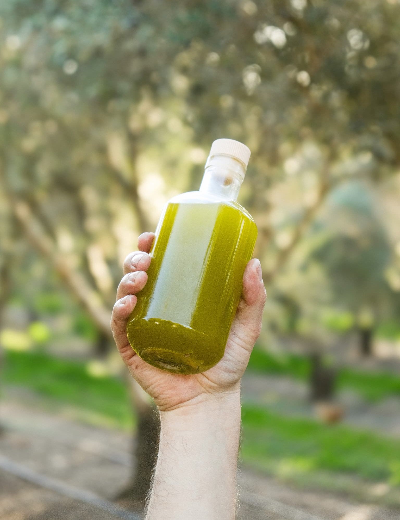 2026 First - Harvest Novello - Kangaroo Island Olives