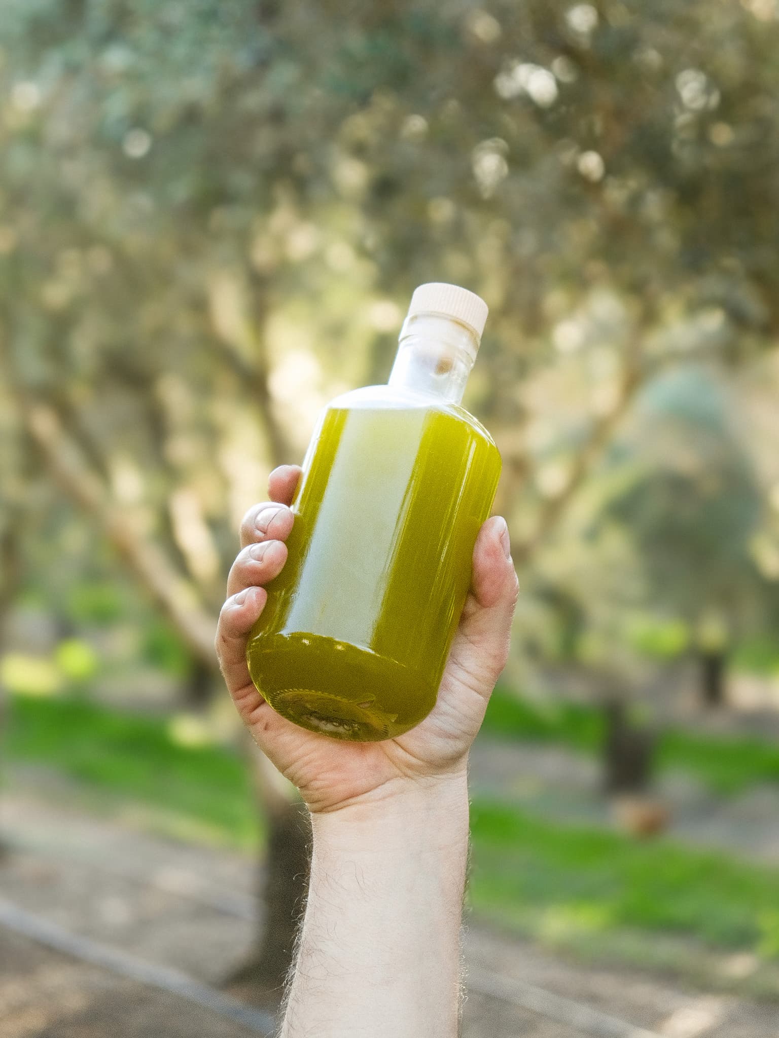 2026 First - Harvest Novello - Kangaroo Island Olives