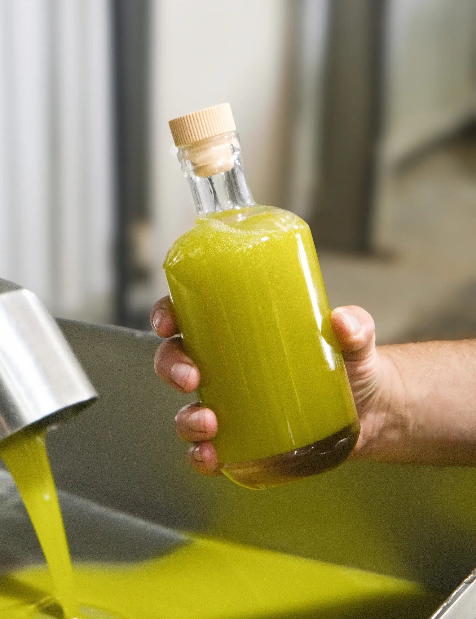 2026 First - Harvest Novello - Kangaroo Island Olives