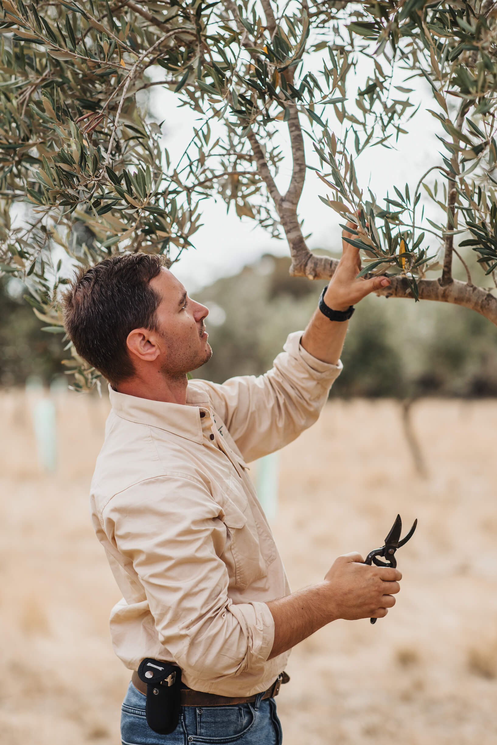 Michael on the Olive Grove